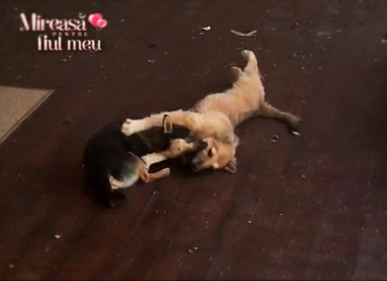 bandicam 2015-08-28 14-54-43-371