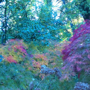 IMAG6532_BURST002_COVER