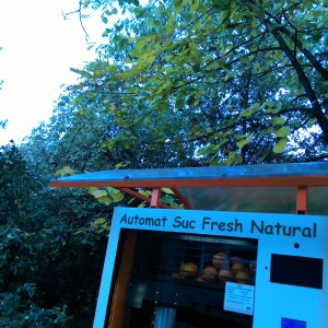 IMAG6557_BURST002_COVER