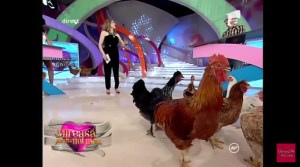 bandicam 2015-11-15 23-20-34-172