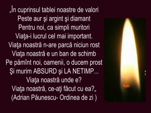 Ordinea de zi A.Paunescu