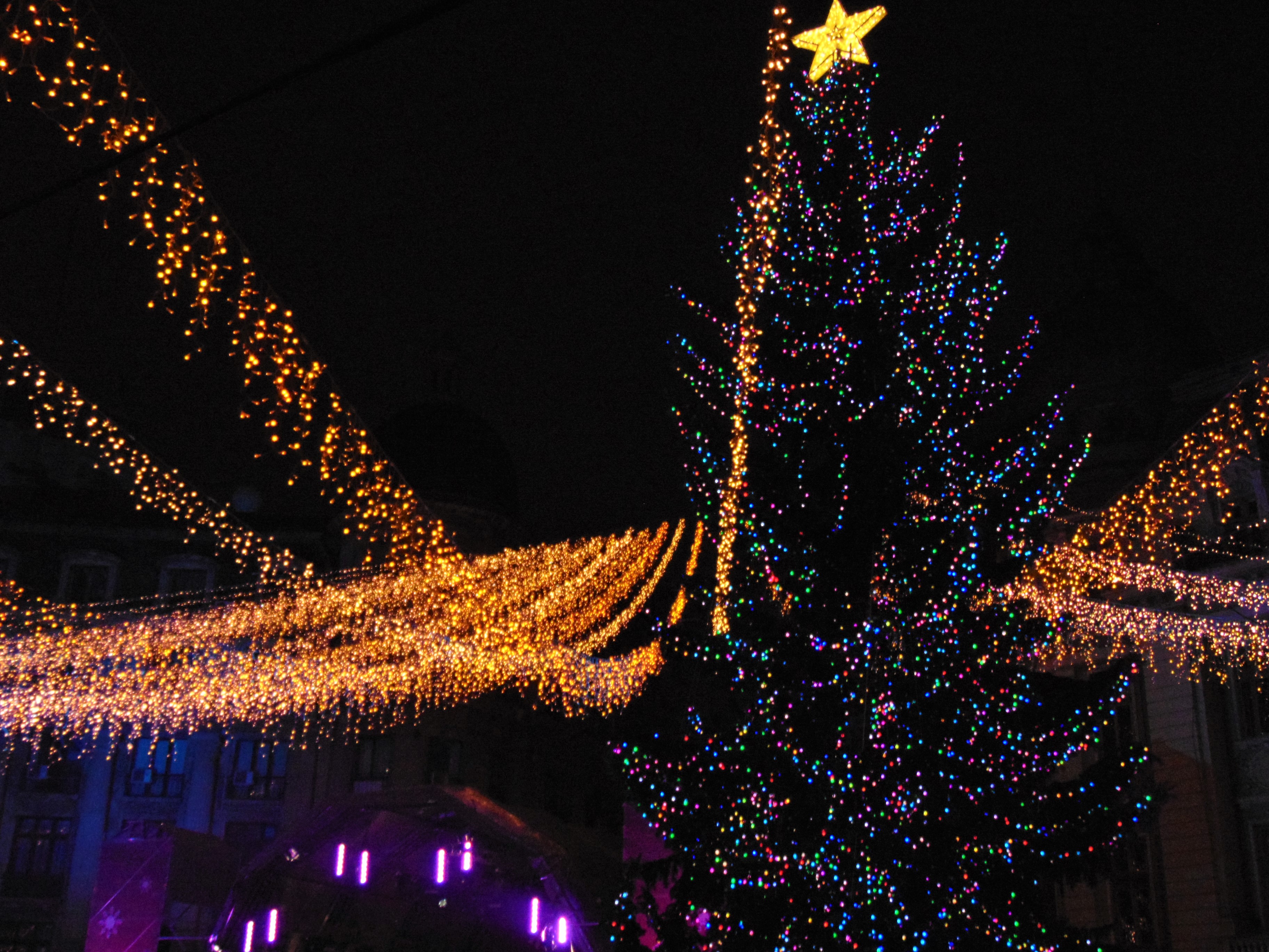 DSC02415