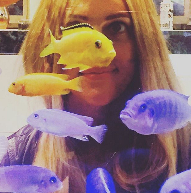 bandicam 2016-06-20 13-21-13-300