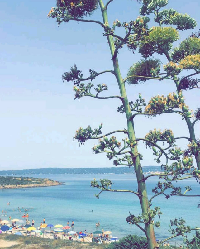 Unde sunt vedetele de&nbsp;Bayram?