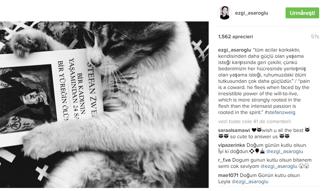 bandicam 2016-07-22 17-57-19-120