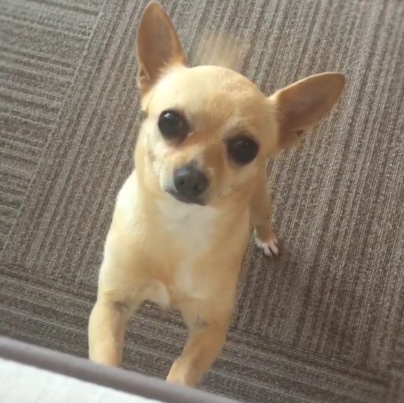 bandicam 2016-07-30 06-31-52-629