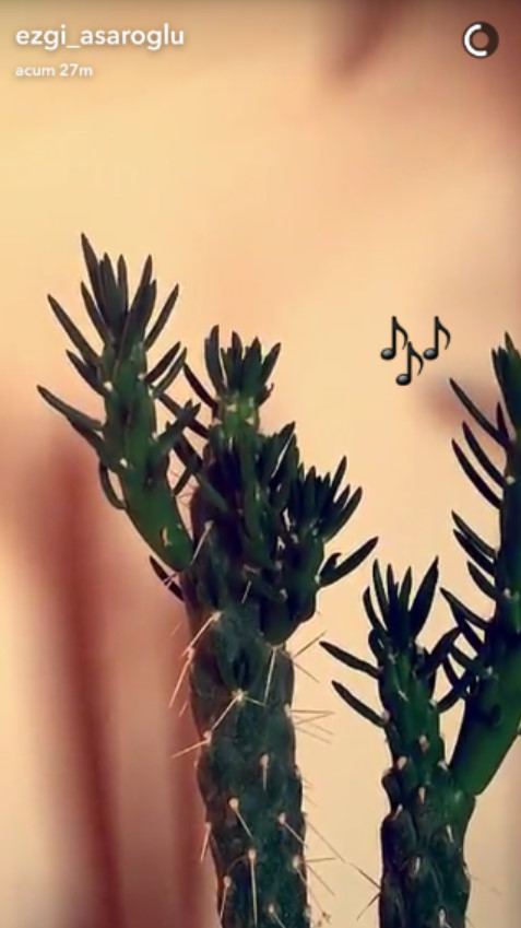 bandicam 2016-08-18 20-11-55-446.jpg