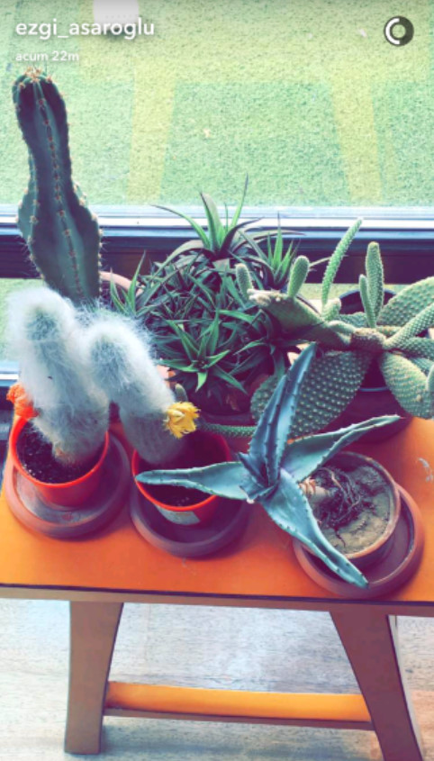 bandicam 2016-08-25 16-31-19-001