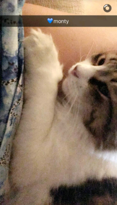 bandicam 2016-08-31 23-43-42-021