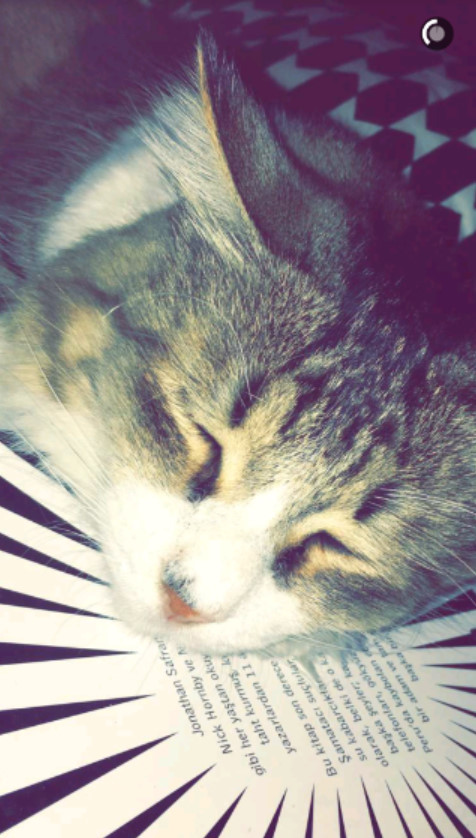 bandicam 2016-08-31 23-53-15-799.jpg