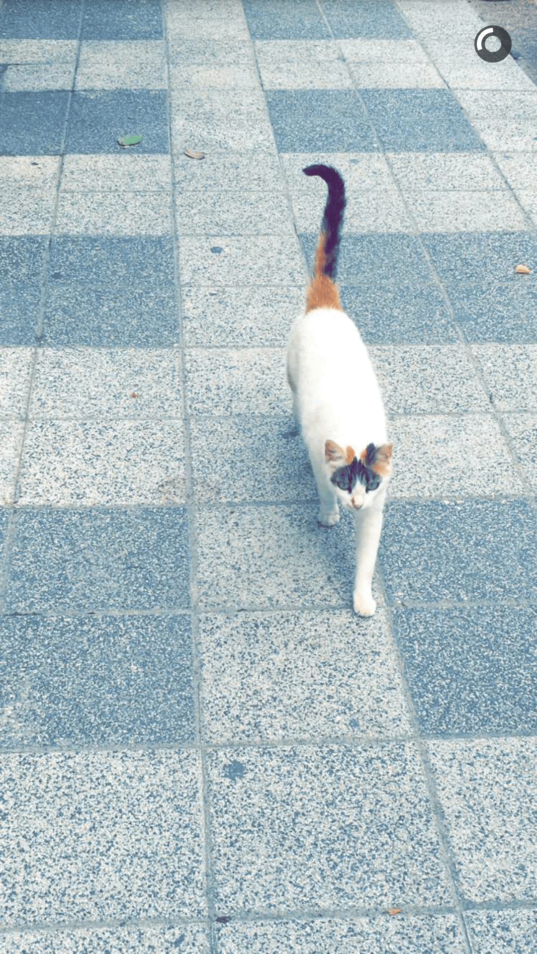 Screenshot_2016-08-21-16-39-55