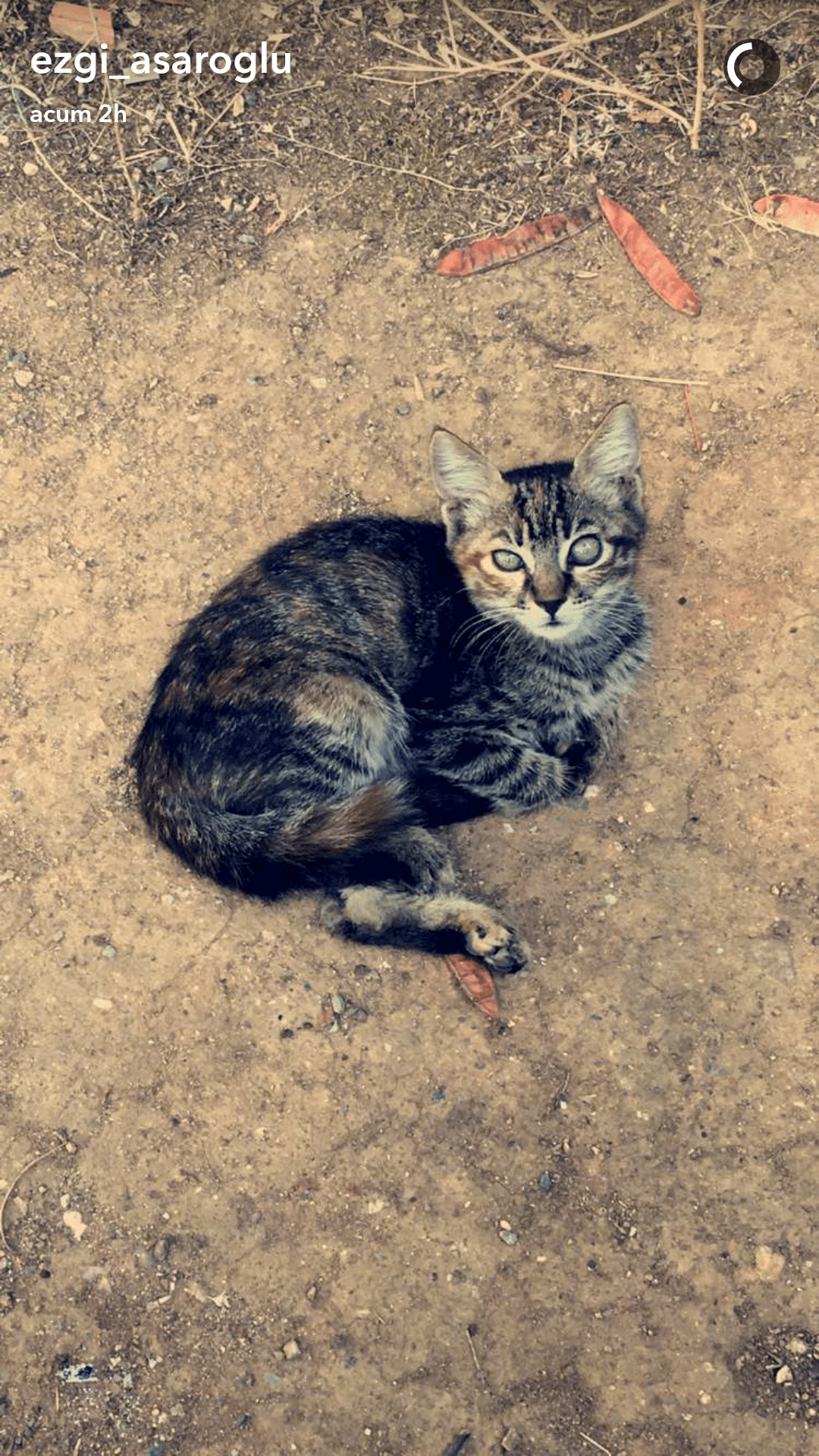 Screenshot_2016-08-22-19-50-45