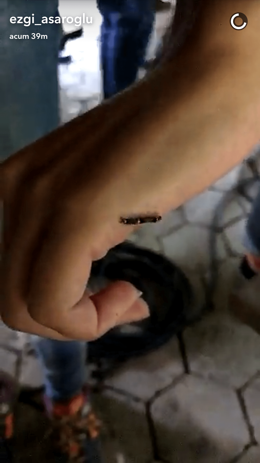 Screenshot_2016-08-31-15-56-32