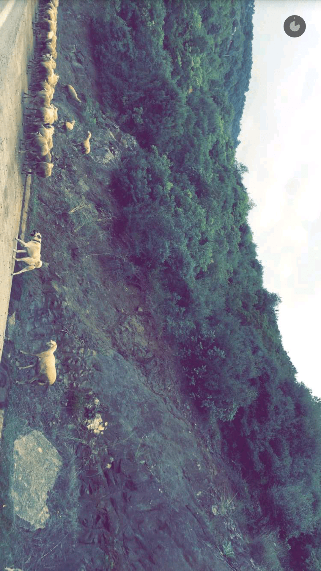 Screenshot_2016-08-31-15-56-57