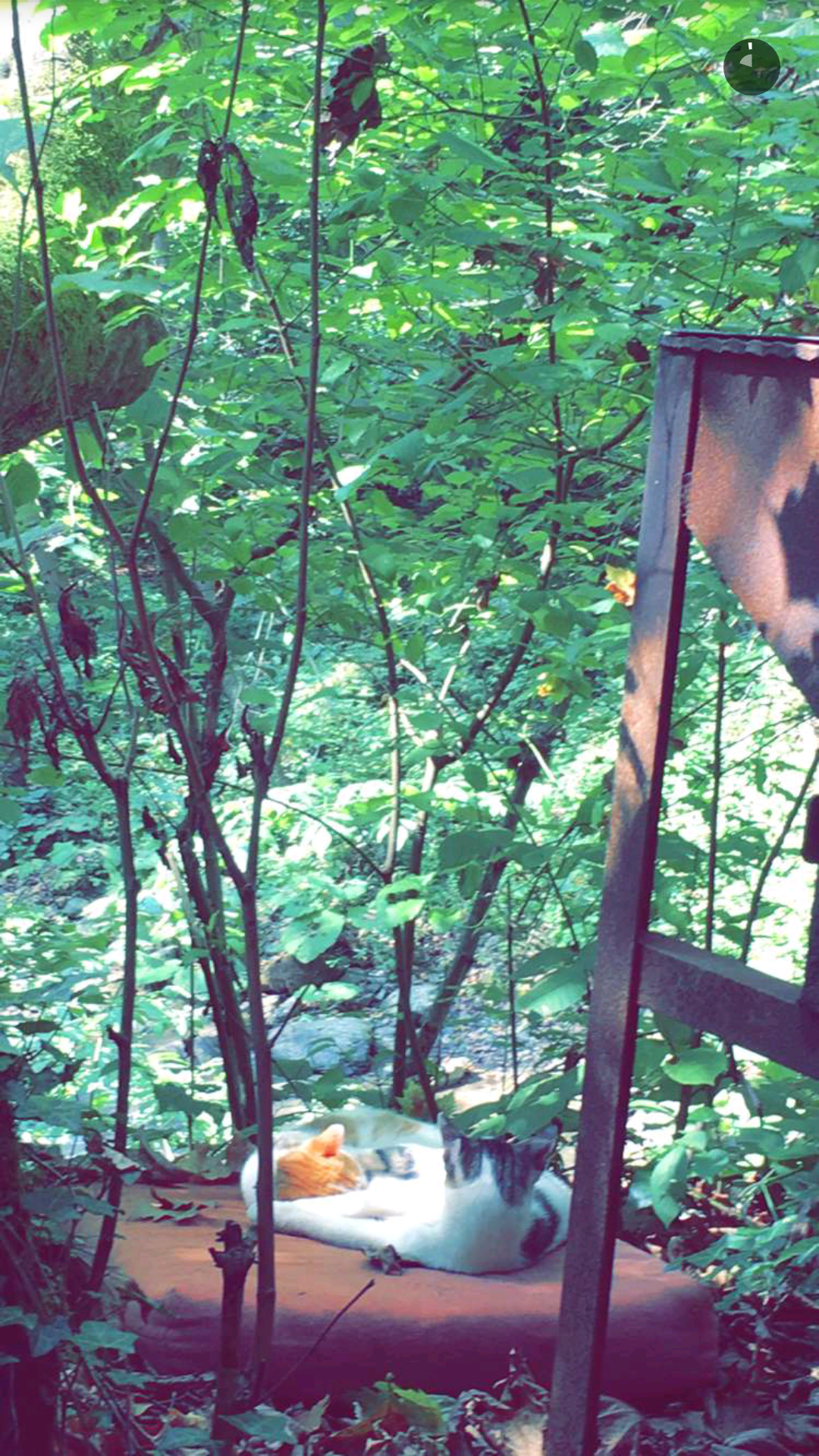 Screenshot_2016-08-31-15-57-55