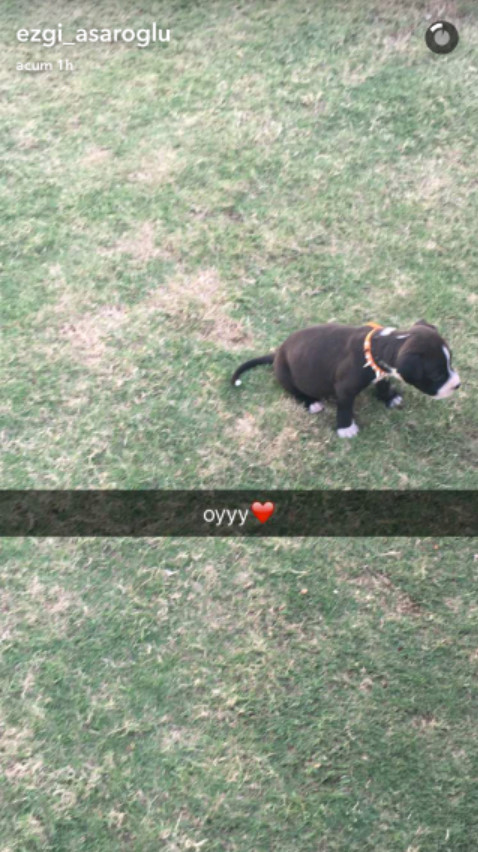 bandicam 2016-09-01 22-48-18-483