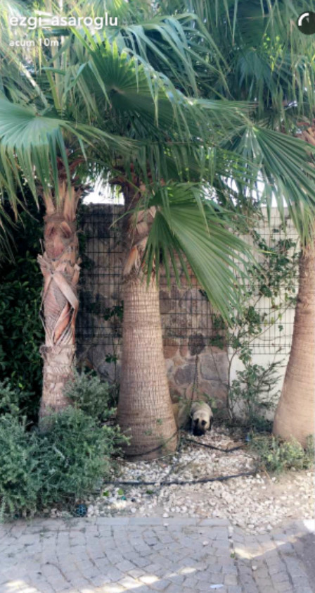 bandicam 2016-09-04 21-25-58-507