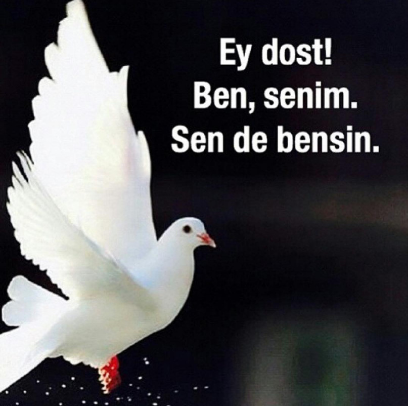 bandicam 2016-09-13 15-34-49-931.jpg