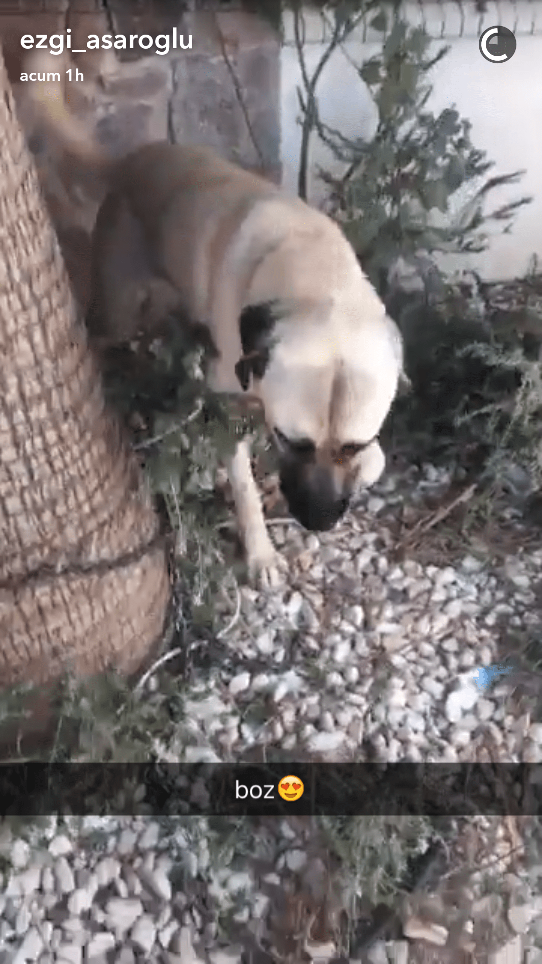 Screenshot_2016-09-01-17-34-45