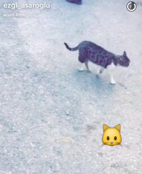 bandicam-2016-10-06-20-11-00-545