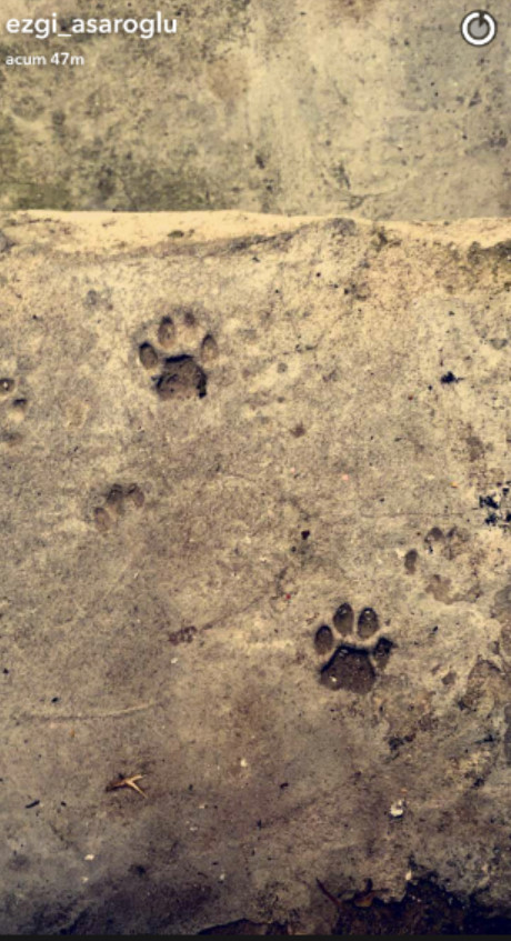 bandicam-2016-10-06-20-12-11-415