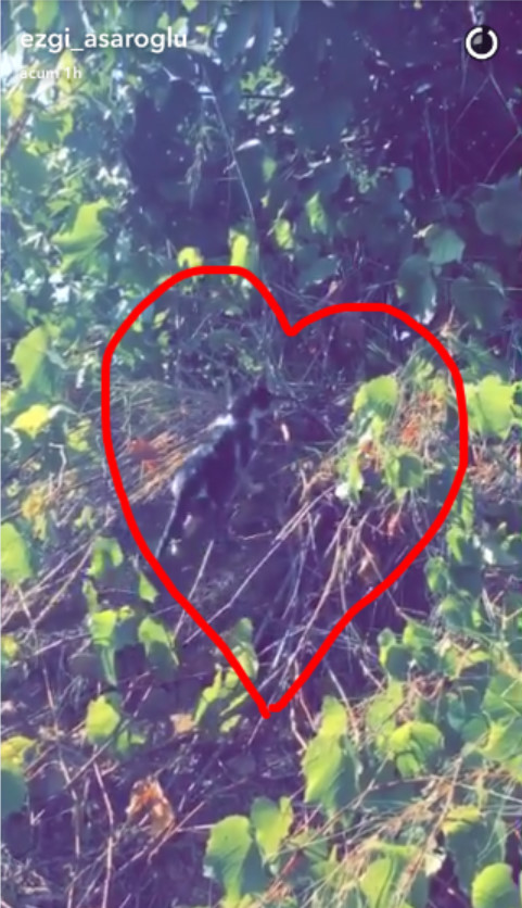 bandicam-2016-10-07-16-58-50-676