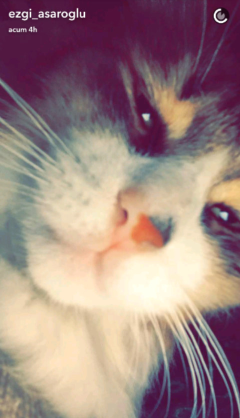 bandicam-2016-10-07-17-00-08-053