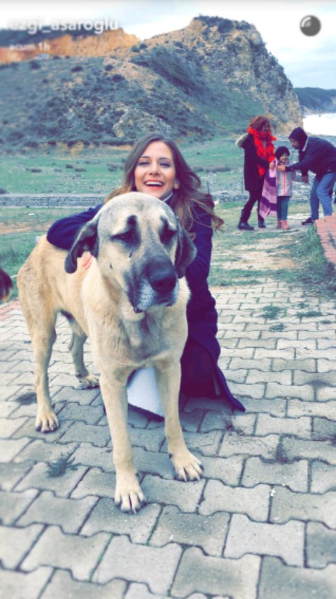 bandicam-2016-10-28-16-09-53-381