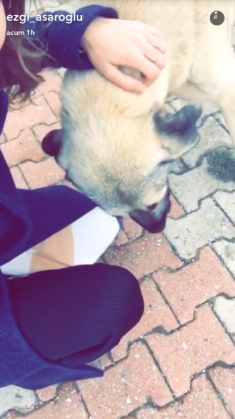 bandicam-2016-10-28-16-10-03-810