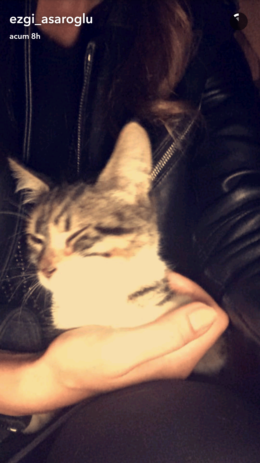 screenshot_2016-10-12-09-03-13