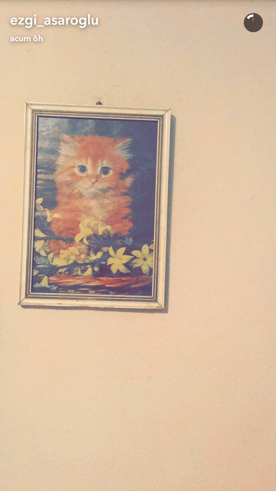 screenshot_2016-10-12-09-03-22