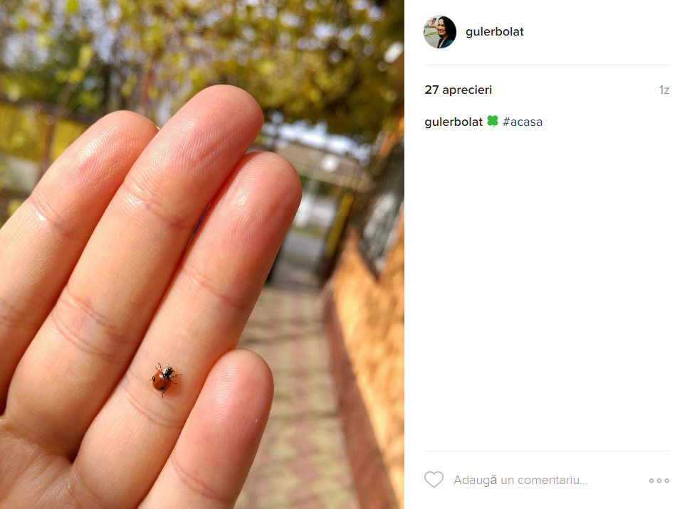 bandicam 2016-11-08 21-01-23-437.jpg