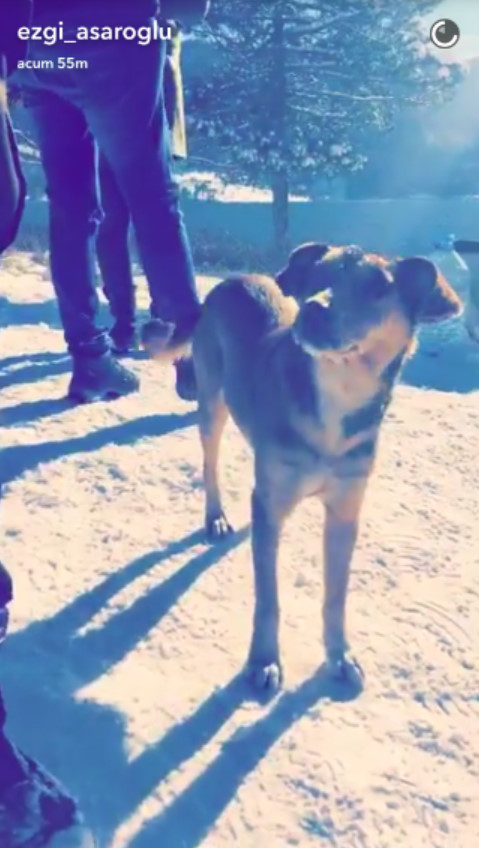 bandicam-2016-12-08-12-19-51-884