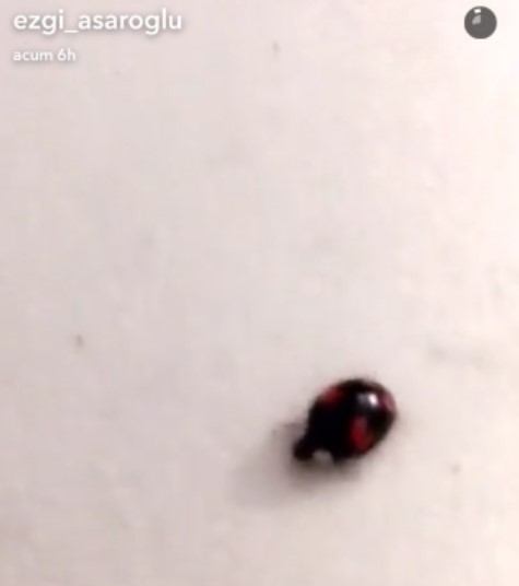 bandicam-2016-12-11-12-45-23-585