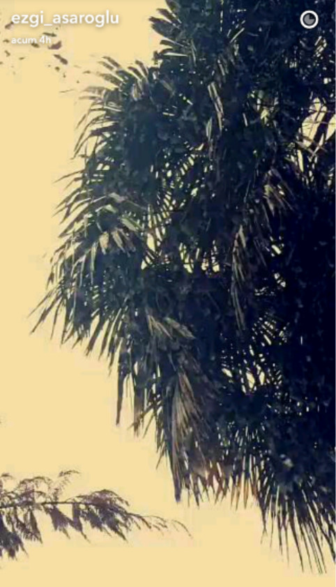 bandicam-2016-12-31-20-02-13-921