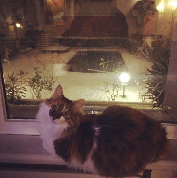 bandicam-2017-01-07-21-24-11-511