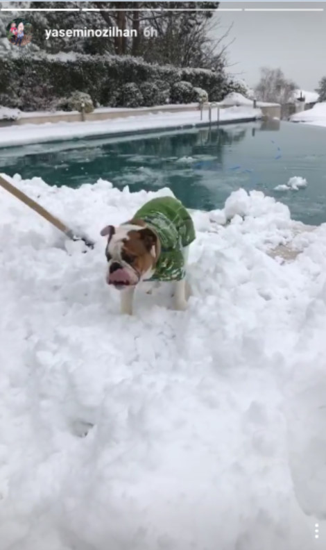 bandicam-2017-01-08-20-07-47-588