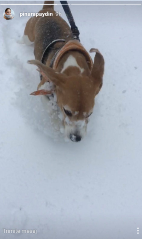 bandicam-2017-01-08-20-08-16-493