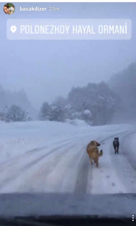 bandicam-2017-01-09-17-13-34-565