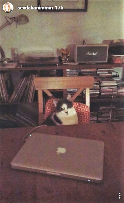 bandicam 2017-03-15 09-19-53-180.jpg