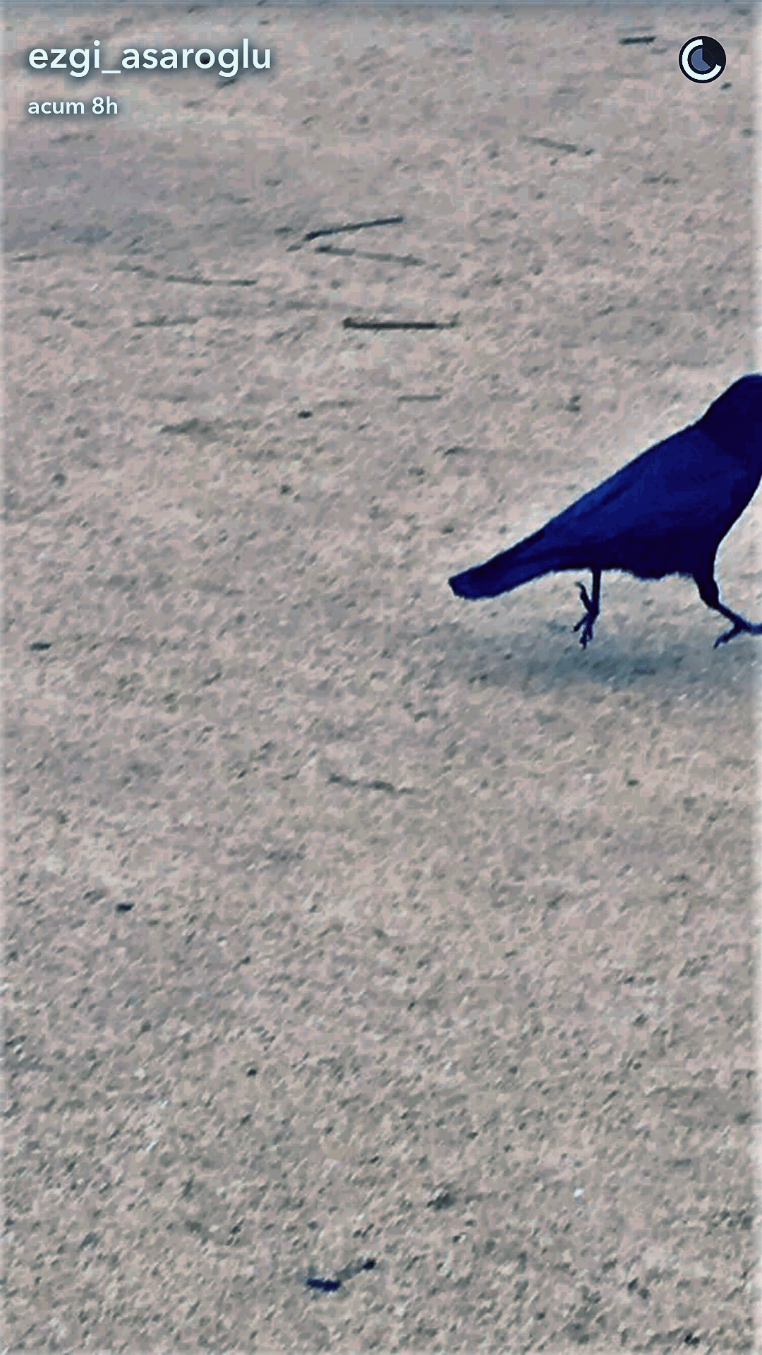 Screenshot_2017-03-09-20-38-27