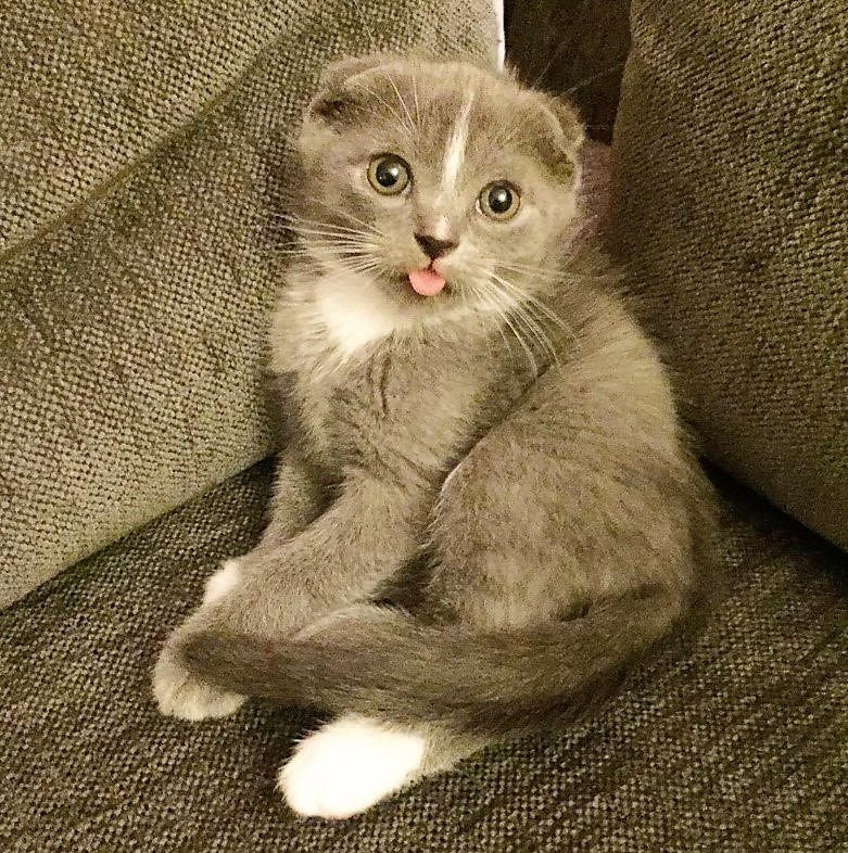 bandicam 2017-04-08 23-05-22-993