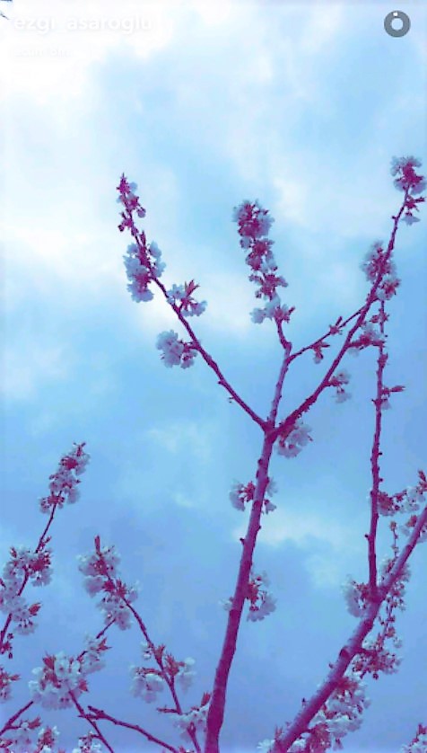 bandicam 2017-04-09 13-07-16-438