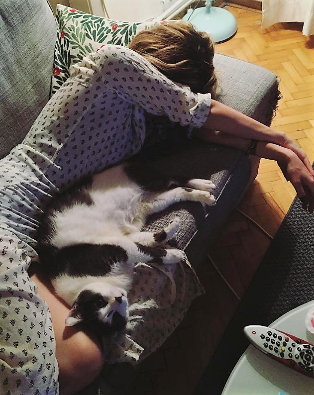 bandicam 2017-04-09 22-39-15-159