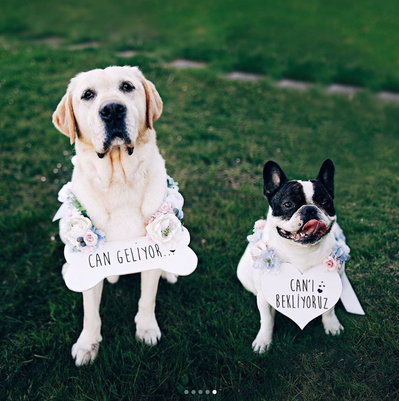 bandicam 2017-04-24 12-48-37-070.jpg