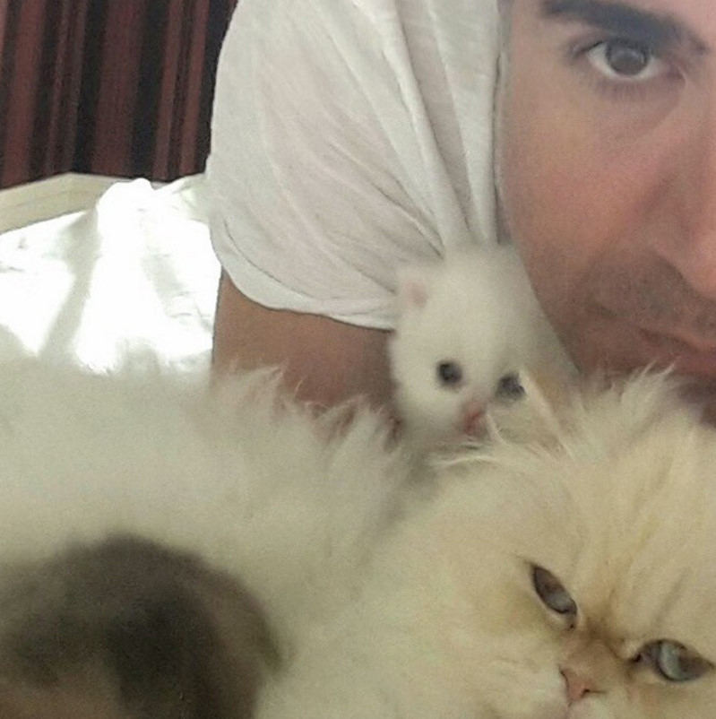 bandicam 2017-05-04 22-19-39-345.jpg