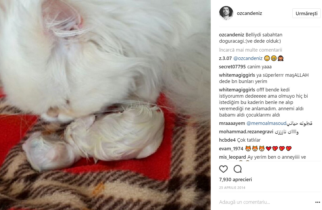 bandicam 2017-05-04 22-25-23-018.jpg