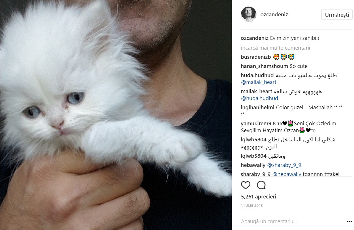 bandicam 2017-05-04 22-29-16-838.jpg