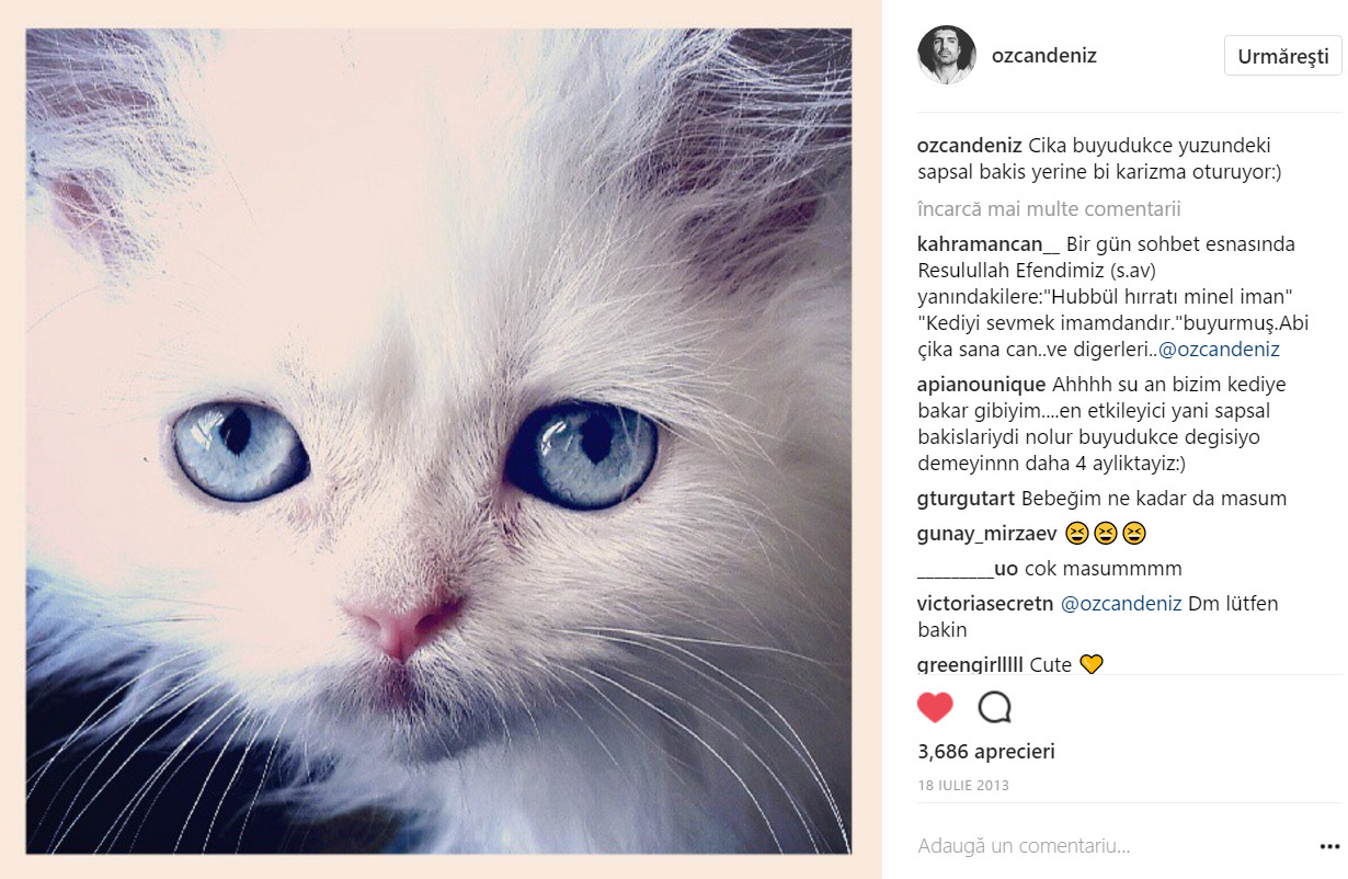 bandicam 2017-05-04 23-00-44-083.jpg