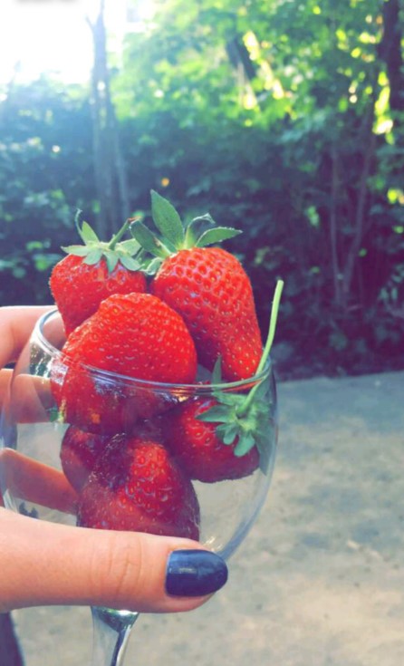 bandicam 2017-05-04 23-59-47-268